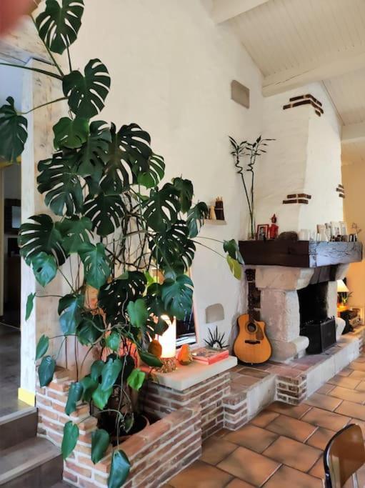 Casa de Férias Ahoma, Sejour Bien-etre, Calme Et Serenite. Labruguière